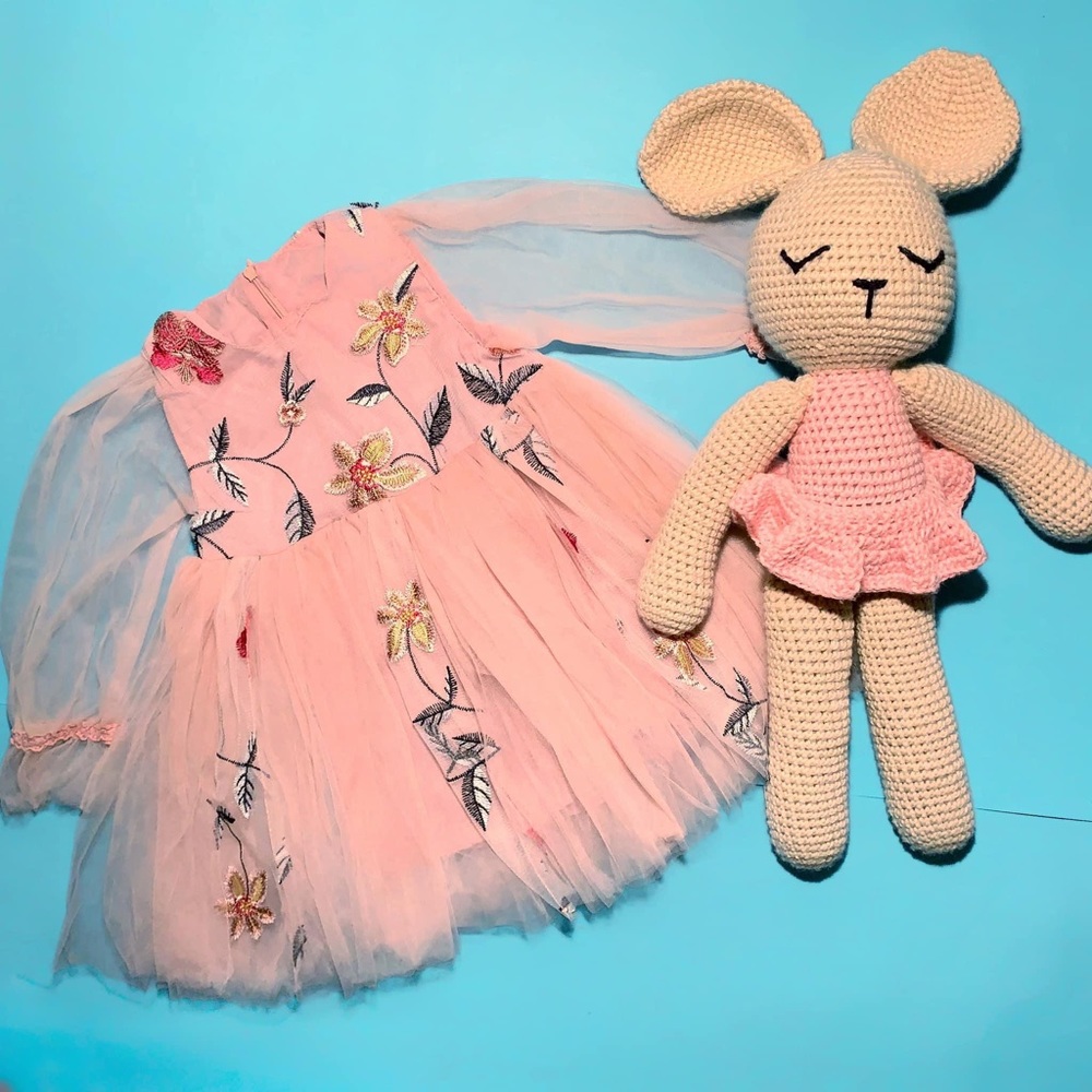 Toddler tulle dress embroidered